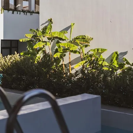 Cavo Vezal (adults Only) 4*