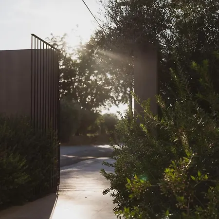 Cavo Vezal (adults Only) 4*