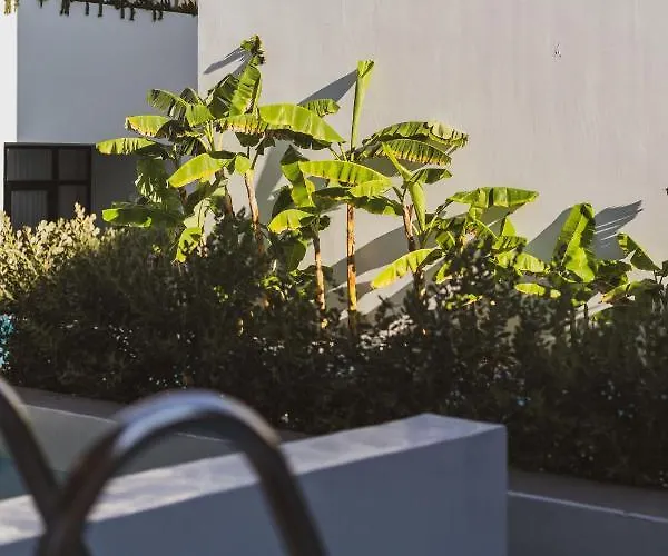 Cavo Vezal (adults Only) 4*