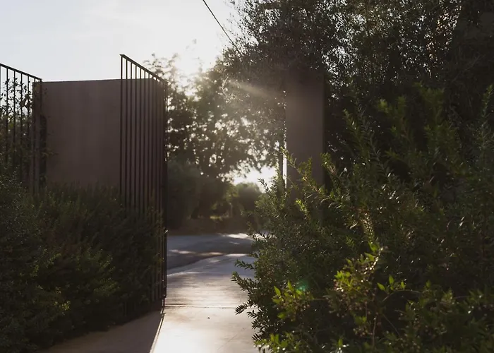 Cavo Vezal (adults Only) 4*